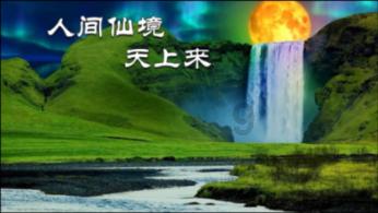 荒野八人组